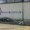 =GRAFITI__281629.jpg
=52KB
Dimensions=491x491
Date added= GRAFITI__281629.jpg